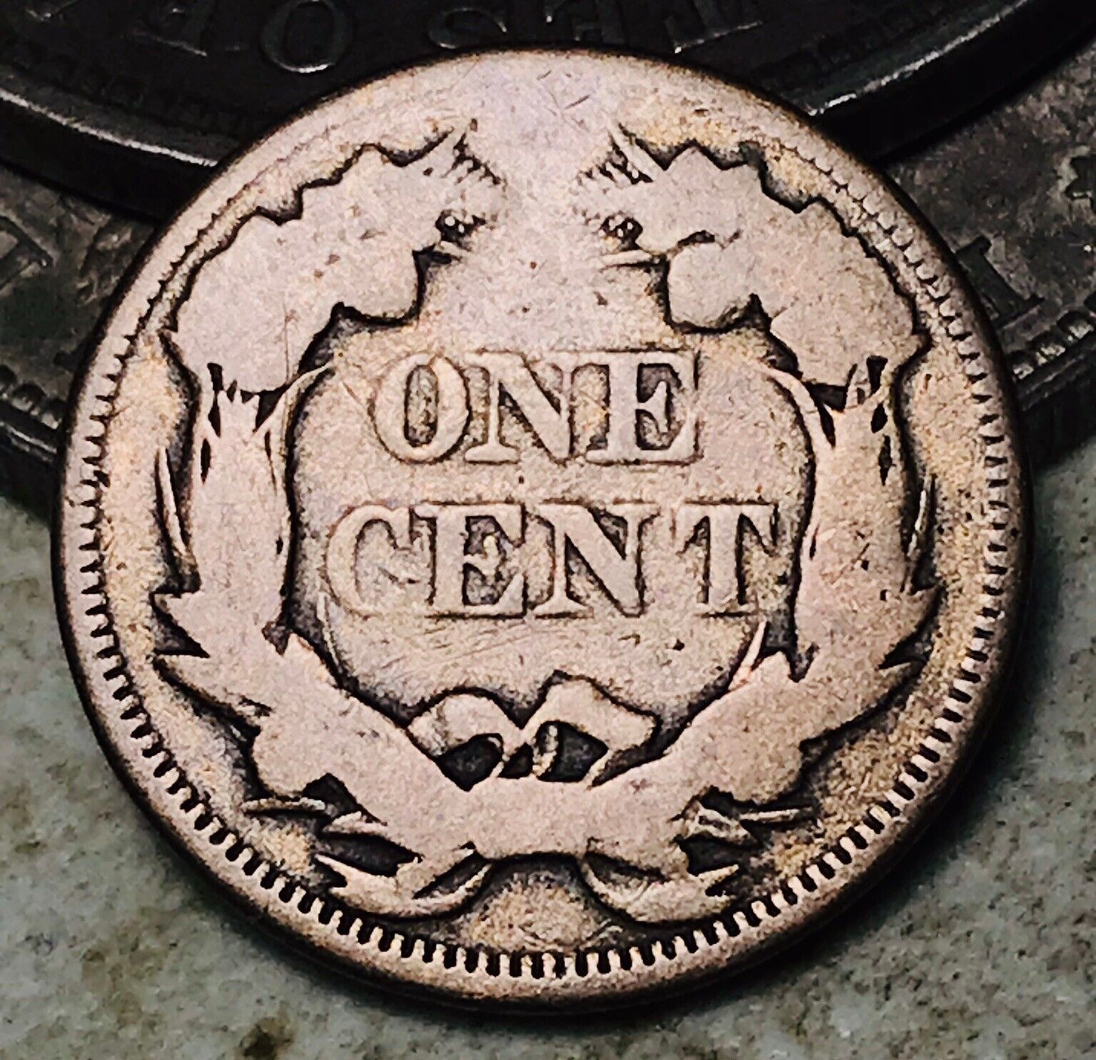1857 Flying Eagle Cent One Penny 1c Ungraded Pre-civil War Us Coin Cc14810